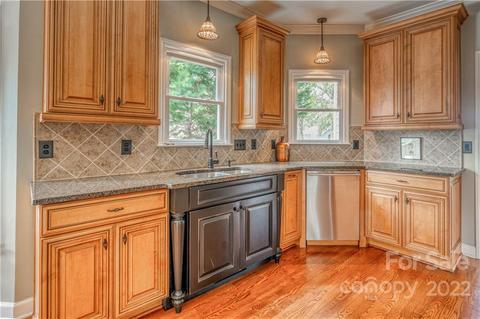21307 Rio Oro Dr, Cornelius, NC 28031 photo 14
