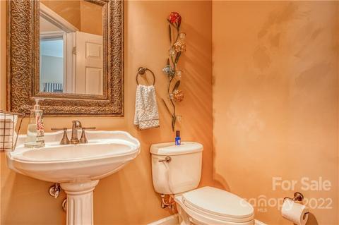 21307 Rio Oro Dr, Cornelius, NC 28031 photo 20