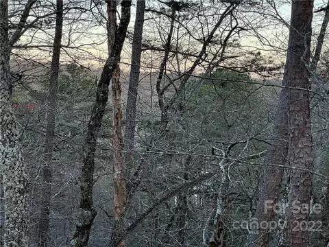 0 Oriole Lot 139 Dr #LOT 139, Lake Lure, NC 28746