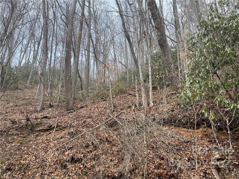 000 Chestnut Branch Road, Bakersville, NC 28705