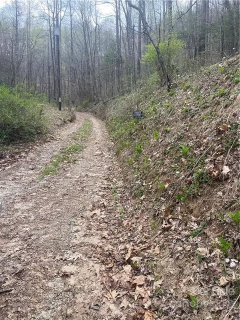 000 Ed Gordon Sr Rd, Saluda, NC 28773 photo 15