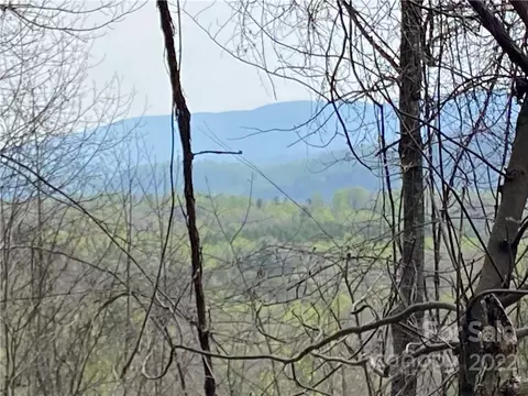 000 Ed Gordon Sr Rd, Saluda, NC 28773