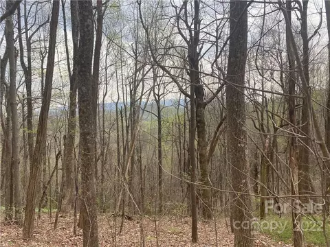 000 Ed Gordon Sr Rd, Saluda, NC 28773 photo 11