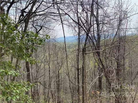 000 Ed Gordon Sr Rd, Saluda, NC 28773 photo 2