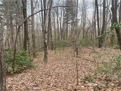 000 Ed Gordon Sr Rd, Saluda, NC 28773 photo 14
