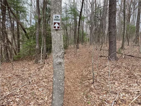 000 Ed Gordon Sr Rd, Saluda, NC 28773 photo 7