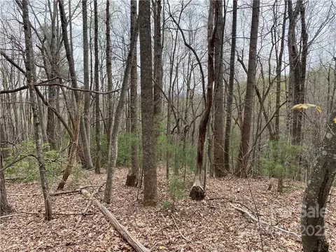 000 Ed Gordon Sr Rd, Saluda, NC 28773 photo 8