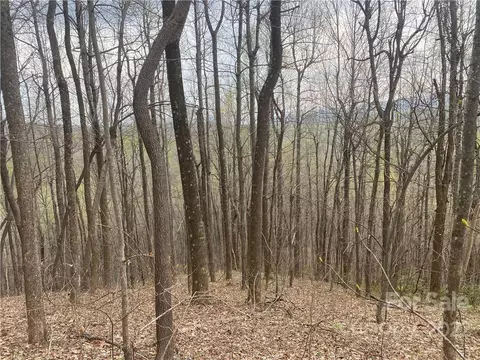 000 Ed Gordon Sr Rd, Saluda, NC 28773 photo 12