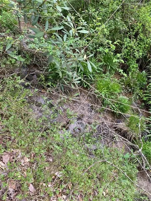 000 Ed Gordon Sr Rd, Saluda, NC 28773 photo 5