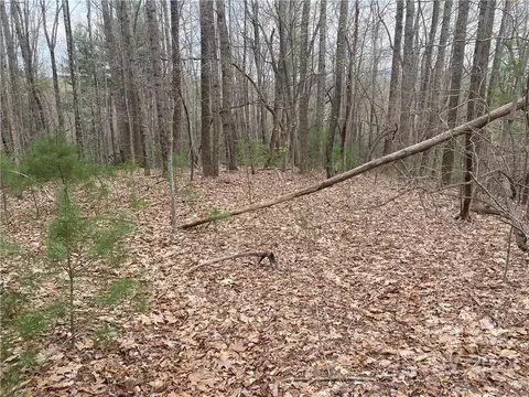 000 Ed Gordon Sr Rd, Saluda, NC 28773 photo 13