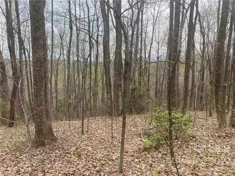 000 Ed Gordon Sr Rd, Saluda, NC 28773 photo 10