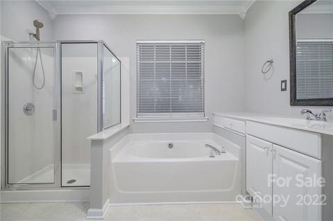 18010 Harbor Mist Rd, Cornelius, NC 28031 photo 40