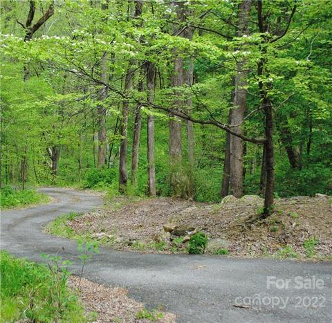 356 Autumn Ln, Tryon, NC 28782 photo 32