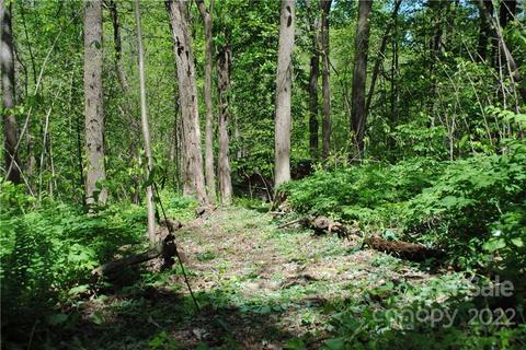 356 Autumn Ln, Tryon, NC 28782 photo 29