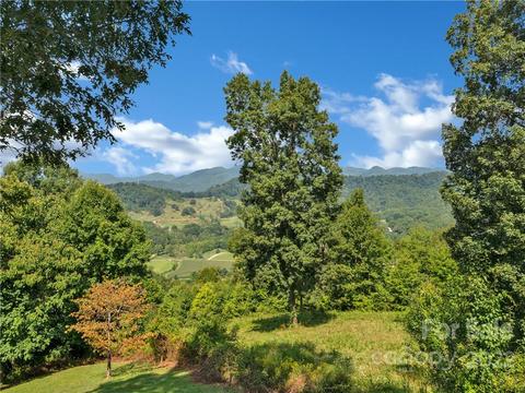 149 Blake Dr, Canton, NC 28716 photo 45