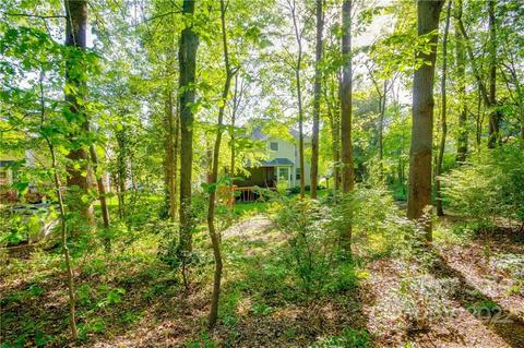 19920 Sandyedge Dr, Cornelius, NC 28031 photo 35