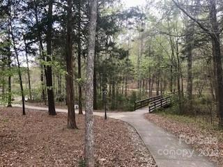 1810 Resolution Ct, Waxhaw, NC 28173 photo 42