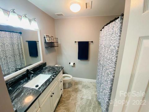 18791 Vineyard Point Ln, Cornelius, NC 28031 photo 11
