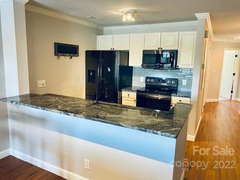 18791 Vineyard Point Ln, Cornelius, NC 28031 photo 12