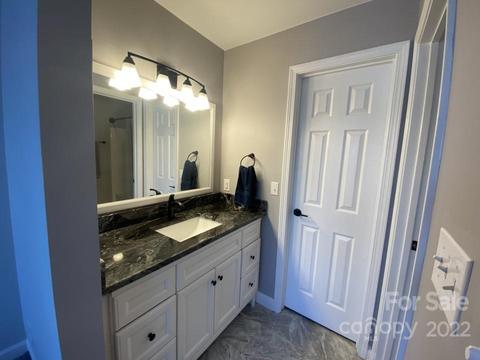 18791 Vineyard Point Ln, Cornelius, NC 28031 photo 7