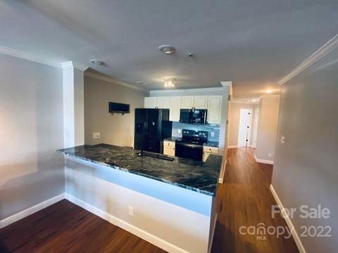 18791 Vineyard Point Ln, Cornelius, NC 28031 photo 4