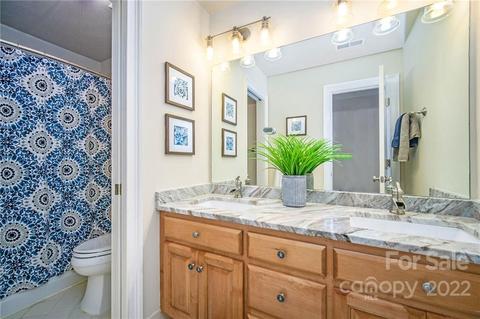 19712 River Falls Dr, Davidson, NC 28036 photo 29