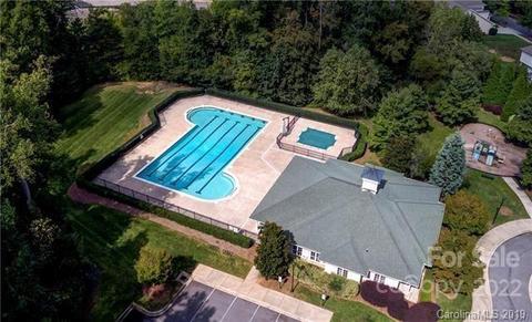 17123 Lake Path Dr, Cornelius, NC 28031 photo 30
