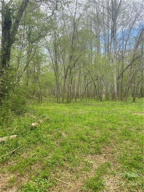 8765 Jacob Fork River Rd, Vale, NC 28168 photo 18