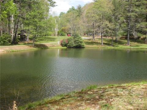 18 Gray Squirrel Ln, Brevard, NC 28712 photo 35
