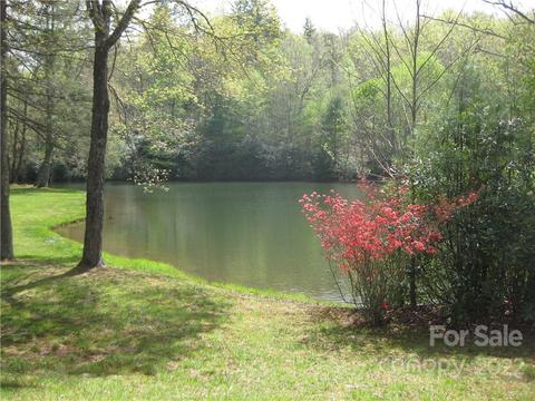 18 Gray Squirrel Ln, Brevard, NC 28712 photo 31