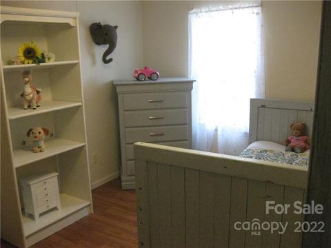 18 Gray Squirrel Ln, Brevard, NC 28712 photo 25