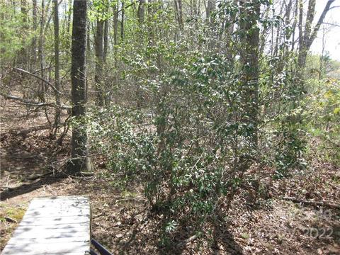18 Gray Squirrel Ln, Brevard, NC 28712 photo 30
