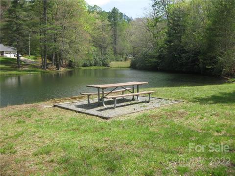 18 Gray Squirrel Ln, Brevard, NC 28712 photo 34