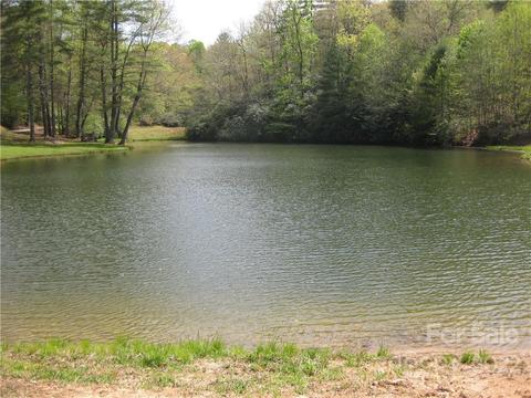 18 Gray Squirrel Ln, Brevard, NC 28712 photo 32