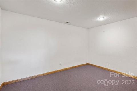 290 Cody Rd, Marshall, NC 28753 photo 33