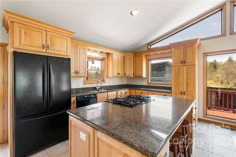 290 Cody Rd, Marshall, NC 28753 photo 20