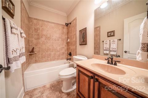 11686 Terrill Ridge Dr, Davidson, NC 28036 photo 22