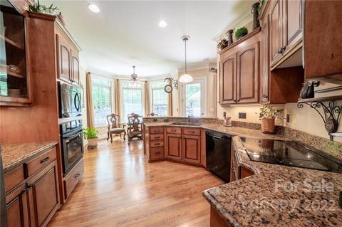 11686 Terrill Ridge Dr, Davidson, NC 28036 photo 8