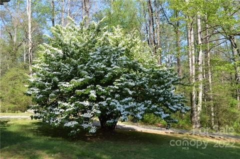 4155 Beach Rd, Hudson, NC 28638 photo 29
