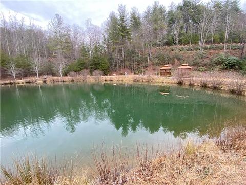 2657 Deer Run, Purlear, NC 28665 photo 34