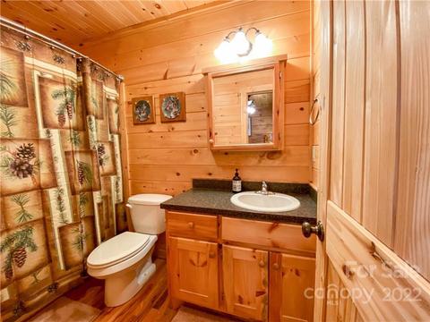 2657 Deer Run, Purlear, NC 28665 photo 27