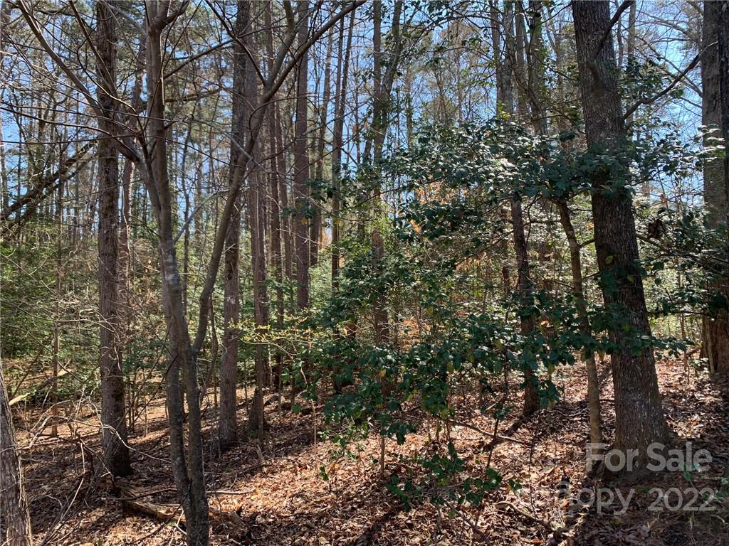 350 Newport Drive Lot 429 Woodrun Unit LOT 429 WOODRUN  