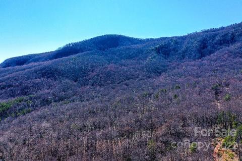 8 Judes Gap Road #8, Mill Spring, NC 28756