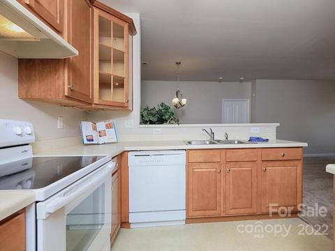 19727 Deer Valley Dr, Cornelius, NC 28031 photo 23