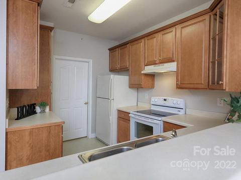 19727 Deer Valley Dr, Cornelius, NC 28031 photo 16