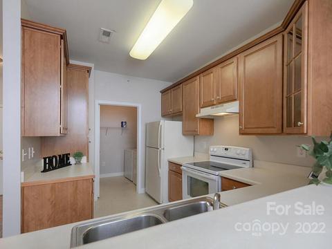 19727 Deer Valley Dr, Cornelius, NC 28031 photo 19