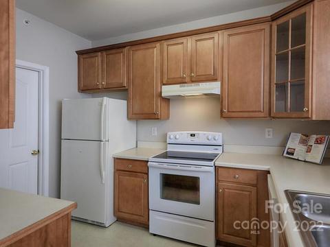19727 Deer Valley Dr, Cornelius, NC 28031 photo 18