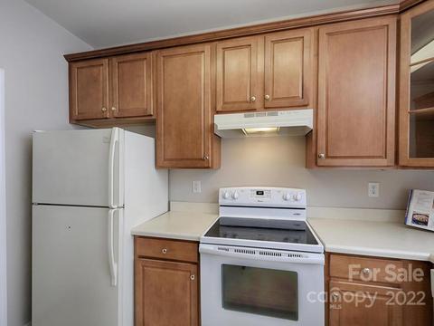 19727 Deer Valley Dr, Cornelius, NC 28031 photo 20