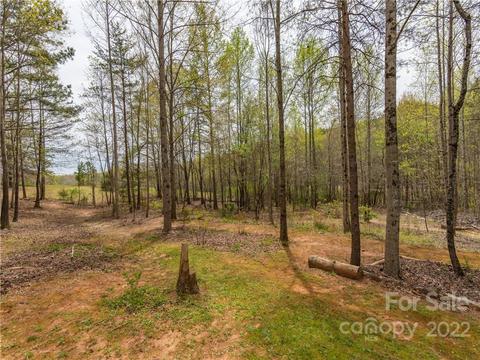 4467 Big Level Rd, Mill Spring, NC 28756 photo 21