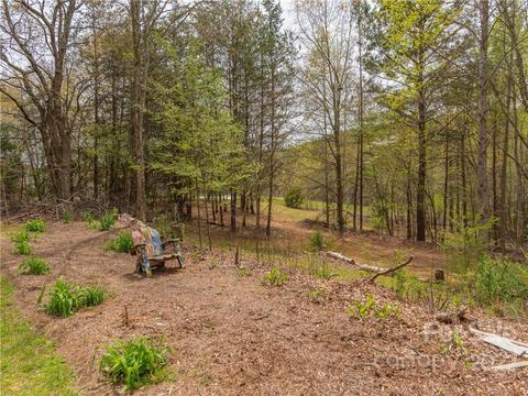 4467 Big Level Rd, Mill Spring, NC 28756 photo 30